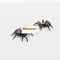 Two Black Reptiles On White Background Showing Natural Physical Characteristics