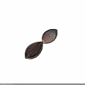 Dark Brown Plant Seed With Textured Surface And Split Shell Structure