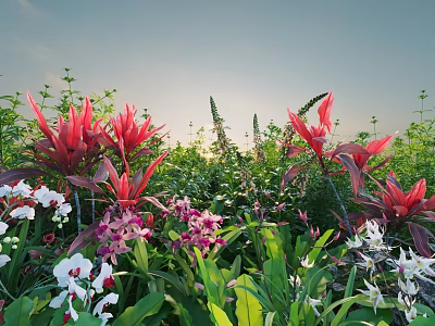 Beautiful Garden With Red Flowers White Blooms Purple Orchids And Green Plants Under Sunset Sky 3d model