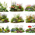 Colorful Flower and Plant Combinations for Garden Landscape Design with Diverse Species