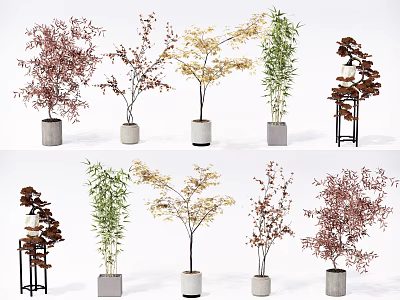 modern potted plant green plant potted plant 3d model modern potted plant green plant potted plant 3d model