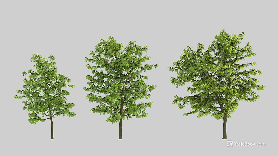 Three Arbor Trees With Lush Green Foliage And Different Crown Structures 3d model