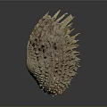 Biological Organ Structure With Hair Like Spines And Textured Surface