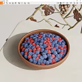 Vibrant Red And Blue Berries In Brown Bowl On Light Tabletop With Twigs And Leaves