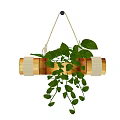 Lush Green Plant In Golden Hanging Planter With Rope And Trailing Leaves