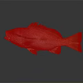 Red Headed Yellow Finned Fish With Striped Body On Dark Background Reflection 3d model