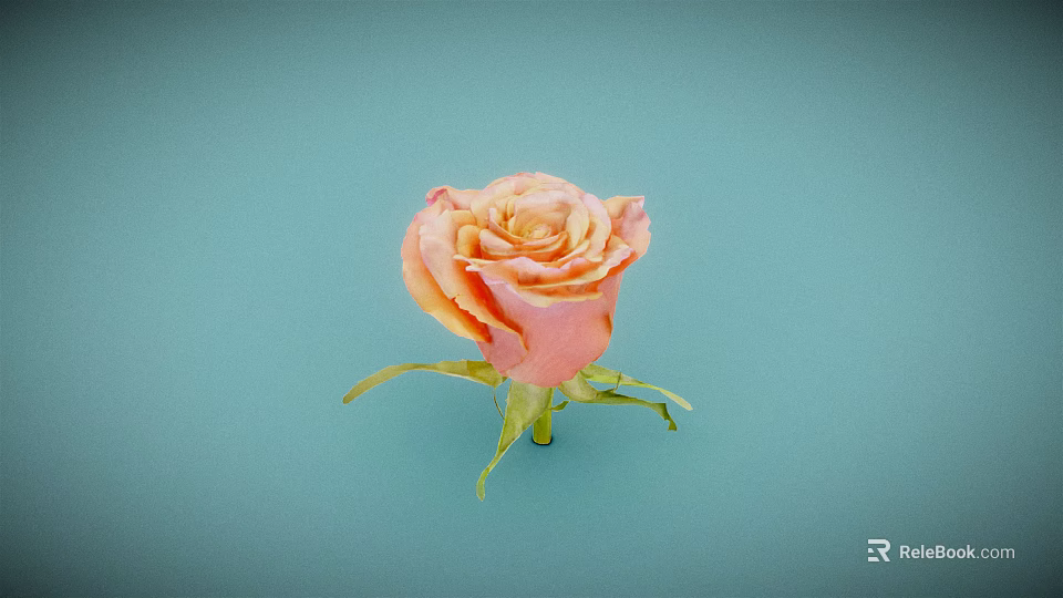 Pink and orange gradient rose with green stem and leaves on light blue background 3d model 