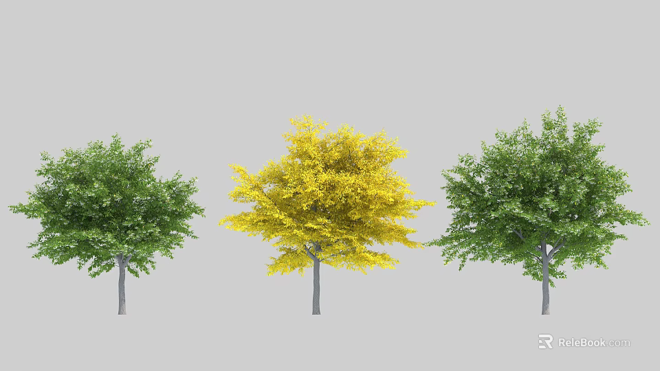 Three Arbor Trees With Yellow and Green Foliage Standing in a Row 3d model 