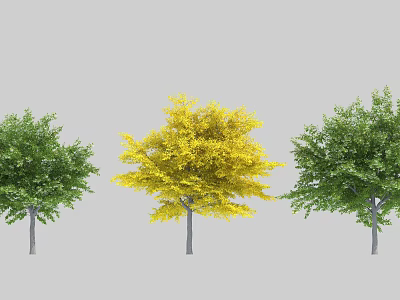 Three Arbor Trees With Yellow and Green Foliage Standing in a Row 3d model