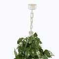 Lush Hanging Basket Green Plants With Trailing Fresh Leaves For Home Decor