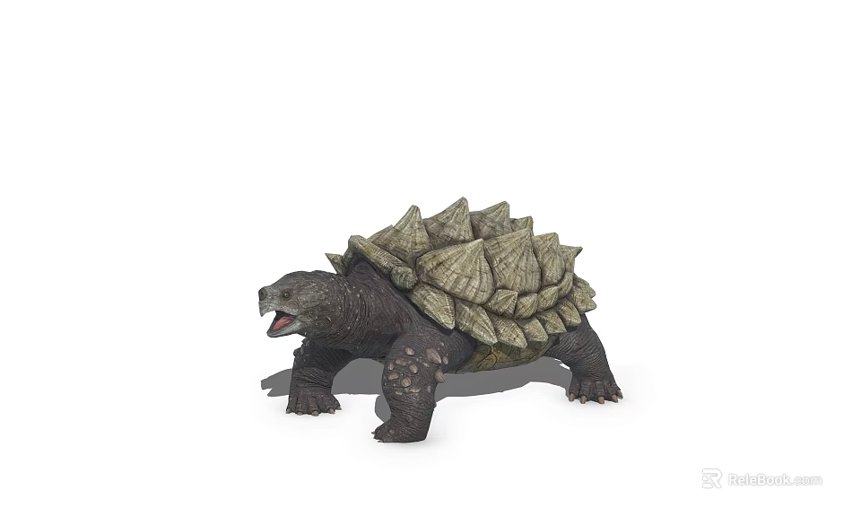 Fascinating Aquatic Turtle With Spiky Shell Open Mouth And Scaly Skin 3d model 