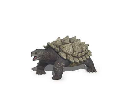 Fascinating Aquatic Turtle With Spiky Shell Open Mouth And Scaly Skin 3d model