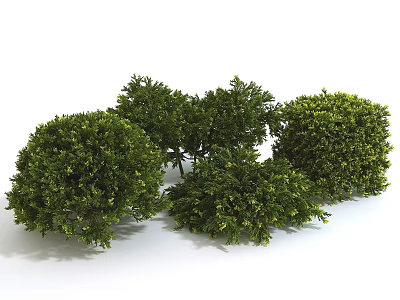 modern shrub green plant 3d model modern shrub green plant 3d model