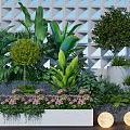 Modern Flower Planters With Various Green Plants Purple Flowers And Geometric Wall Background