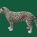 Full Body Spotted Leopard With Detailed Fur Pattern Standing On Green Background 3d model