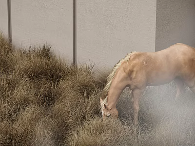 Light Brown Horse Grazing In Tall Dry Grass With Light Colored Wall In Background 3d model