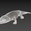 Giant Salamander With Gray Textured Skin And Open Mouth On Gray Background
