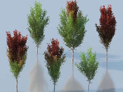 Trees with Green and Red Leaves White Trunks and Reflections on Light Blue Background 3d model