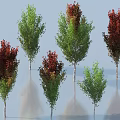 Trees with Green and Red Leaves White Trunks and Reflections on Light Blue Background