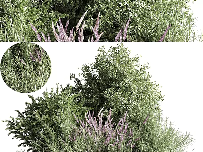Lush Green Shrubs With Purple Flowers And Dense Foliage 3d model