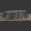 Natural Wooden Tree Stump Cross Section on Square Stone Base with Soil and Grass