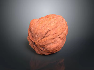 Single Fresh Brown Walnut With Natural Textured Shell On Dark Surface 3d model