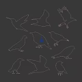 White Silhouettes of Various Flying Animals Showcasing Different Bird Species on Dark Background