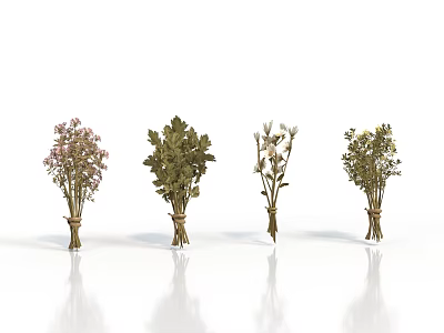 Four Bunches of Various Types of Plants Tied Together on White Background with Reflections 3d model