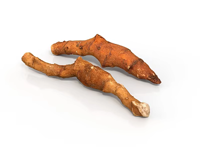 Fresh Brown Rhizome Plants With Textured Surface On White Background 3d model