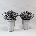 Decorative Bonsai Potted Plants in White Pots with Green Leaves and White Spherical Flowers