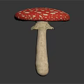 Red and White Spotted Mushroom with Red Cap White Spots and Reflection on Dark Surface