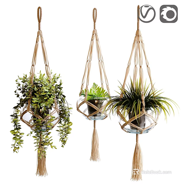 Hanging Macramé Plant Holders Made of Natural Rope for Garden Decor with Green Plants 3d model 