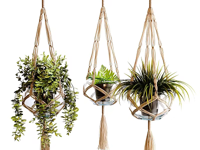 Hanging Macramé Plant Holders Made of Natural Rope for Garden Decor with Green Plants 3d model
