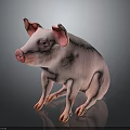 Pink Piglet Sitting With Ears And Hooves On Dark Reflective Background