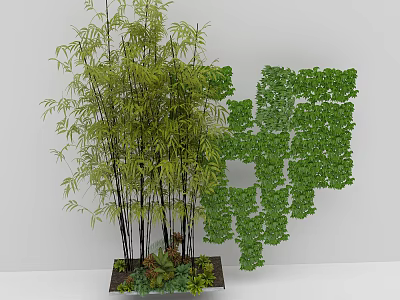 Tall Bamboo Plants With Green Leafy Wall For Indoor Decoration 3d model