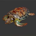 Colorful Sea Turtle With Vibrant Shell And Patterned Flippers On Black Background 3d model