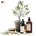 Eco Friendly Washing Daily Supplies Including Brown Bottles Olive Tree And Small Brush
