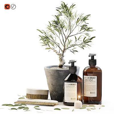 Eco Friendly Washing Daily Supplies Including Brown Bottles Olive Tree And Small Brush 3d model