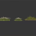 Three Clumps of Lush Green Grass with White Tips Isolated on White