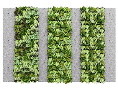 Modern Green Plant Wall Green Plant Wall Plant Wall Landscape Plant Combination model