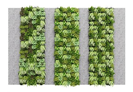 Modern Green Plant Wall Green Plant Wall Plant Wall Landscape Plant Combination 3d model