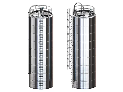 Dual Stainless Steel Cylindrical Industrial Storage Tanks with Ladders and Top Platforms 3d model
