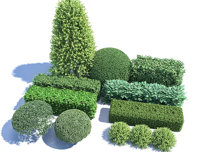 Different Shapes And Sizes Of Trimmed Green Garden Shrubs For Landscaping Use 3d model