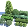 Hedgerow Shrub Plant Isolation Belt Greenbelt Hedgerwall Shrub 3d model