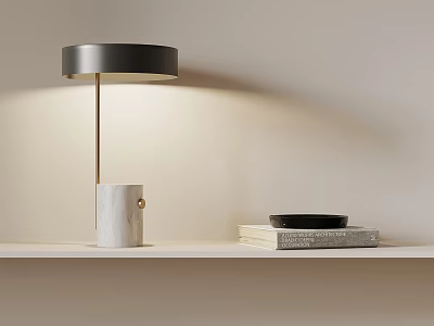 Table Lamp With Marble Base Golden Rod Black Lampshade On Shelf With Books And Plate 3d model