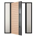 Modern Wooden Panel Door With Black Frame And Glass Side Panels Design