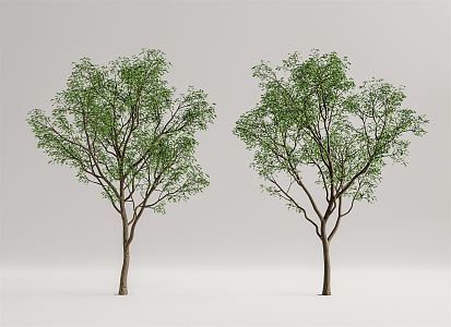 Modern Tree Landscape Tree 3d model