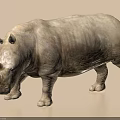Realistic Gray Rhinoceros 3D Model Walking Pose on Beige Background 3d model