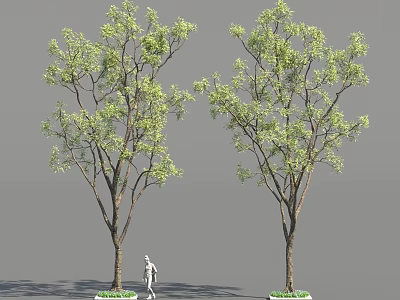 Two Tall Arbor Trees With Green Leaves And Brown Trunks Near Human Figure Model 3d model