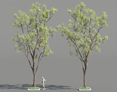 Two Tall Arbor Trees With Green Leaves And Brown Trunks Near Human Figure Model 3d model